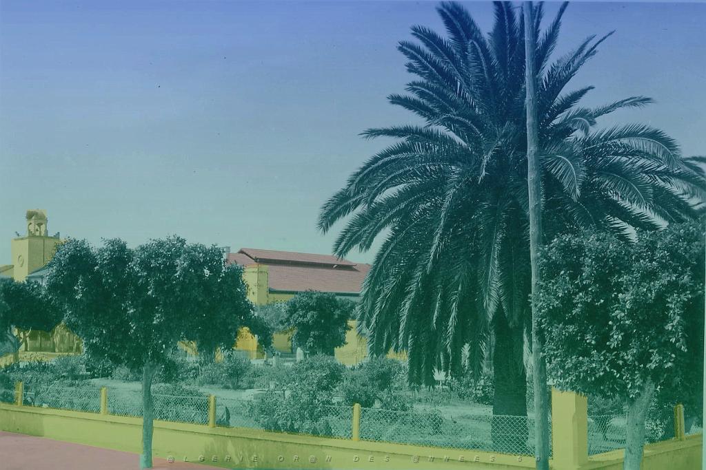 Ste Barbe du Tlelat 503- Jardin public.jpg